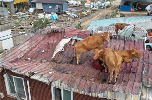 [사진톡톡] 전국에 상처 내는 '지각장마', 언제쯤 끝날까?