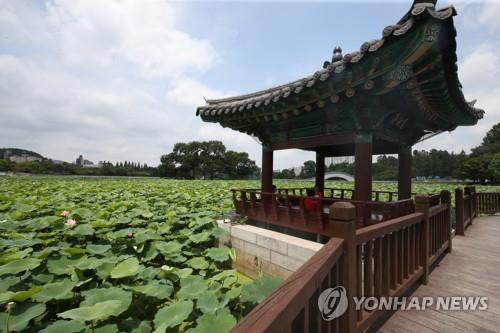 찜통더위에 전국이 '헉헉'…체감온도 35도에 열대야까지