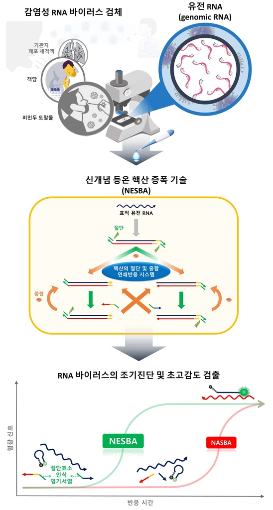 RNA 바이러스 표적 초고감도로 검출…"코로나19 조기진단 기여"