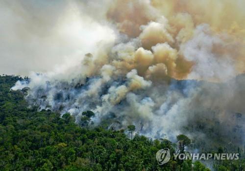 '아마존의 비명'…동식물 1만여종 멸종 위기·탄소 배출원 전락