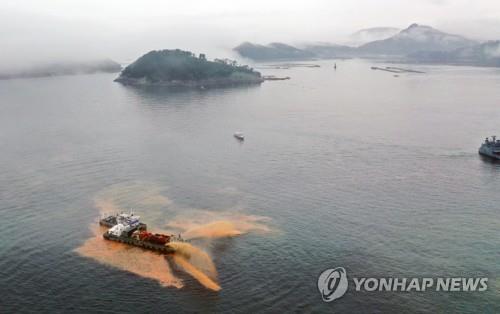 짧은 장마 끝…'불청객' 적조·고수온 닥칠까 전전긍긍