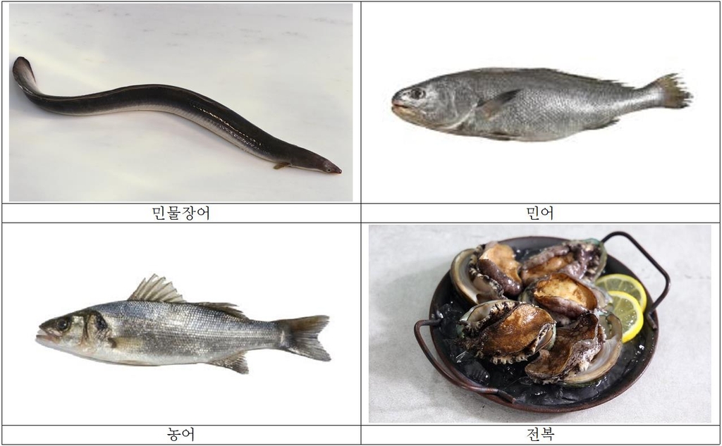 장어·민어·전복·농어 내달 18일까지 20% 할인판매