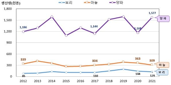 올해 양파 생산량 역대 3위…작년보다 35% 늘어