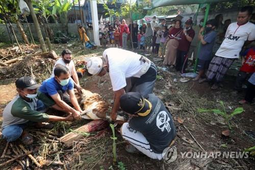 [사진 톡톡] 인도네시아 올해 '희생제'도 코로나로 축소