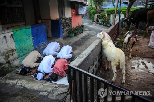 [사진 톡톡] 인도네시아 올해 '희생제'도 코로나로 축소