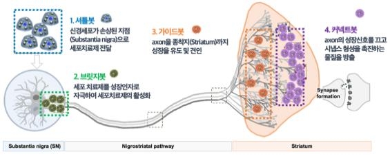 '가상핵융합로 구현' 과학난제연구 3개 선정…5년간 90억씩 지원