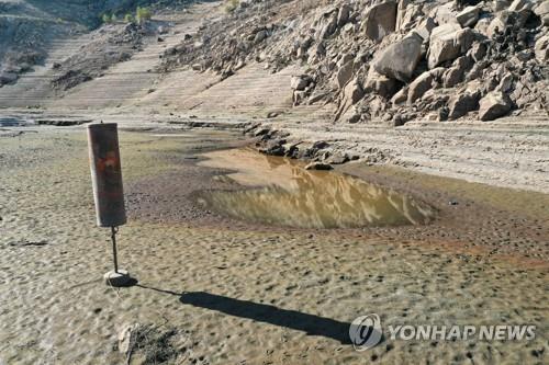 캘리포니아 가뭄에 물 도둑 기승…대마초 업자 '물 차떼기'