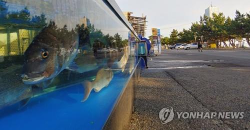 비수도권 첫 거리두기 4단계 격상 강릉시, 3단계로 하향 조정(종합)