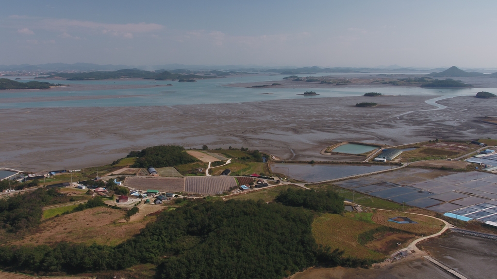 '한국의 갯벌', 인정받은 가치는 철새 이동로의 핵심 장소