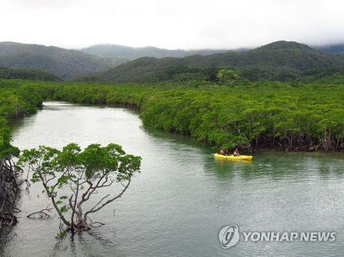 日 오키나와·가고시마 4개 섬 4만3천㏊, 세계자연유산 등재