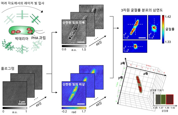 살아있는 미생물 내 바이오 플라스틱 생성과정 관찰 성공