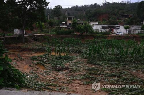 "中 '곡창' 허난성 폭우로 농지 피해…식량생산 차질 우려"