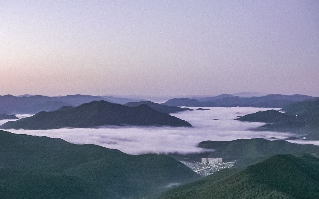 한여름도 시원한 산들바람 부는 태백 바람의 언덕