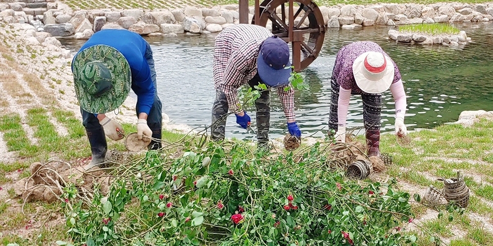 폐광산 오염수 정화시설이 생태공원으로 재탄생