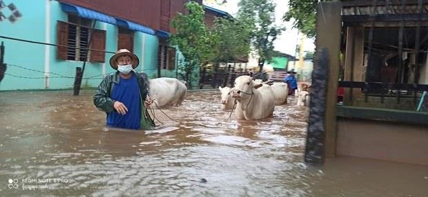 미얀마, 쿠데타·코로나에 홍수까지…대피 와중 감염 우려도