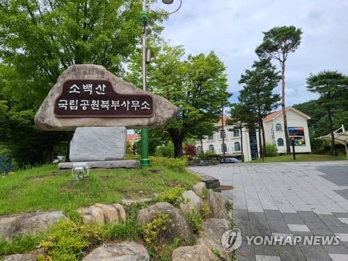 "코로나 확산 송구" 국립공원공단 단양 마늘 판매 팔걷어