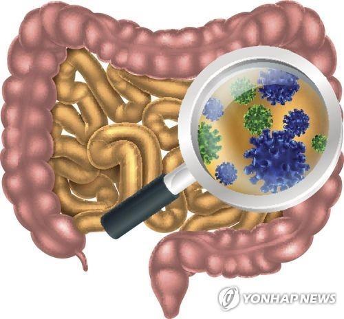 "자폐아, '腸 세균총'이 다르다"