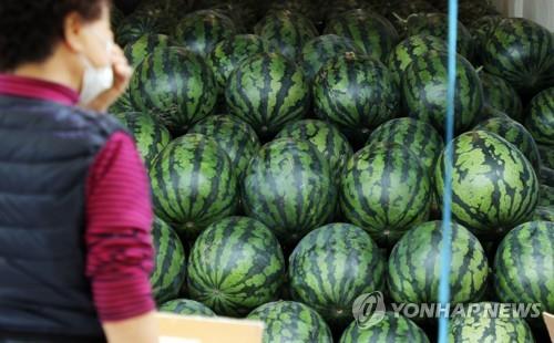 "수박 한 통이 3만원!"…열대야로 수박 가격 고공행진