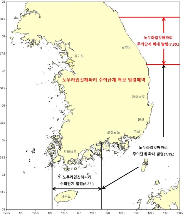 독성 노무라입깃해파리 주의보 강원도까지 확대 발령