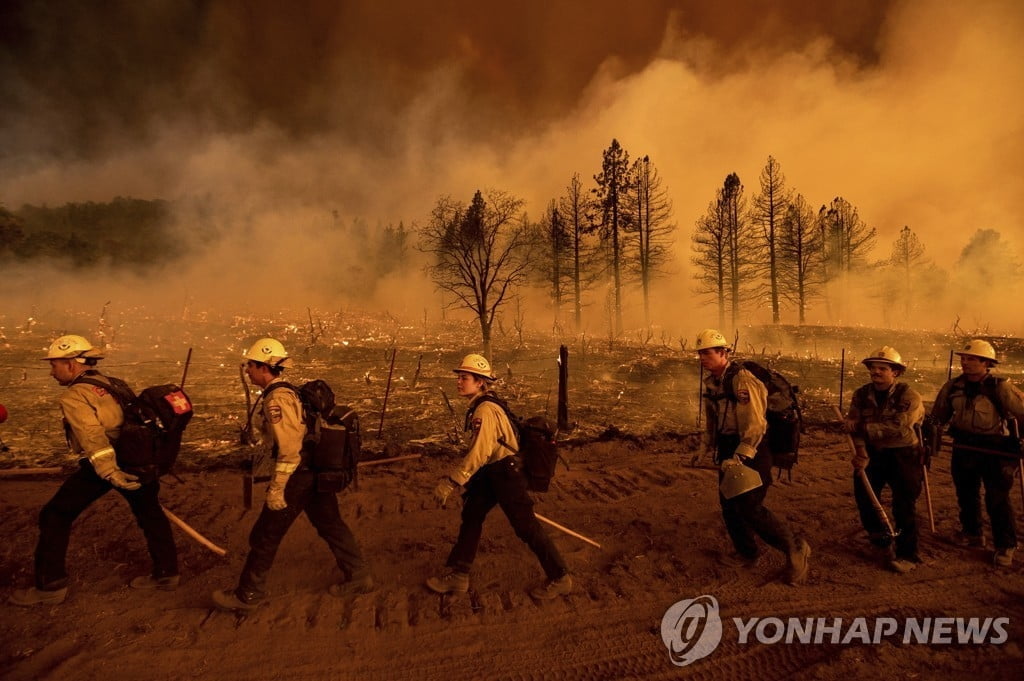 美 서부 폭염·산불에 고통…바다생물 떼죽음·소방관 순직