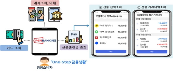 30일부터 은행앱으로 토스·카카오페이 선불 충전금 조회 가능