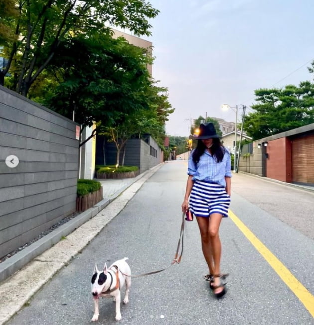 Lee Hye Young Walking With Her 1 2 Billion Legged Dog Ten Newsdir3