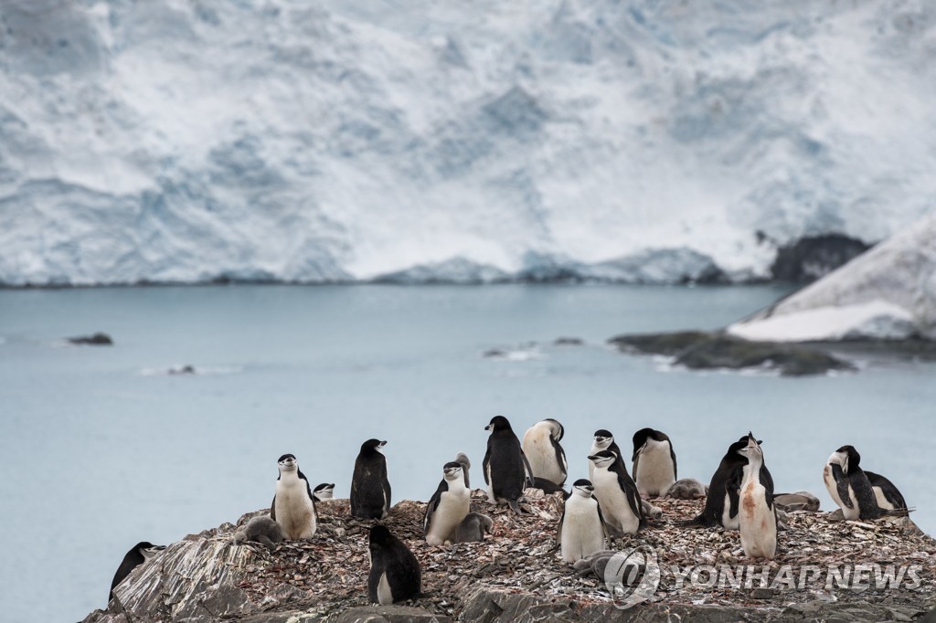 남극 최대 소비품목은 술…뉴질랜드 남극지역 수출서 1위