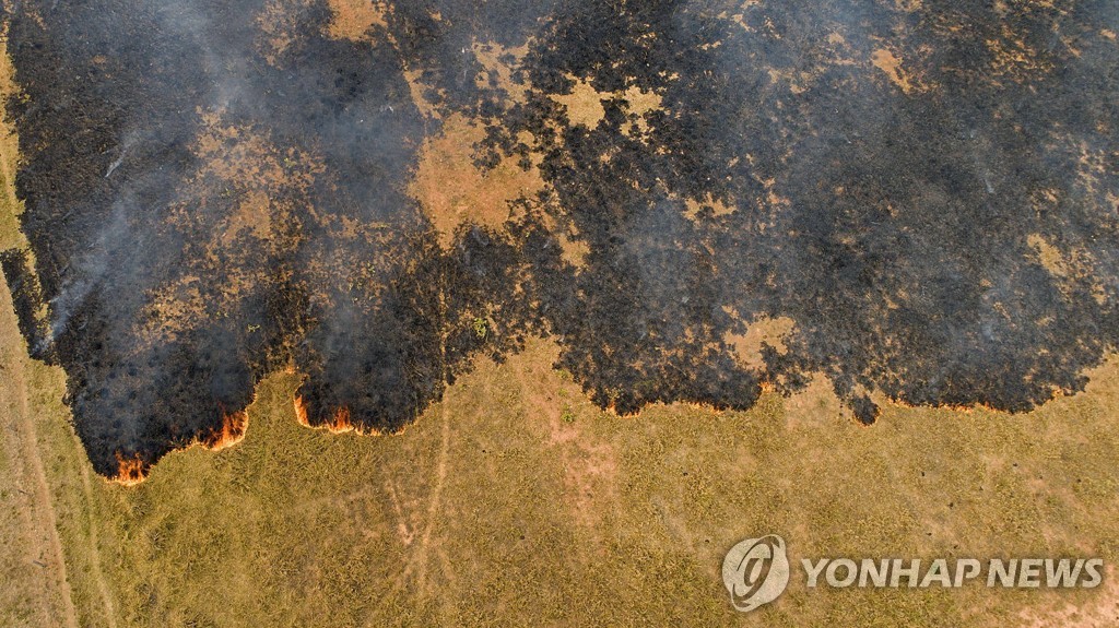 남미 열대늪지 판타나우 이틀간 축구장 1천개 넓이 소실 | 한경닷컴