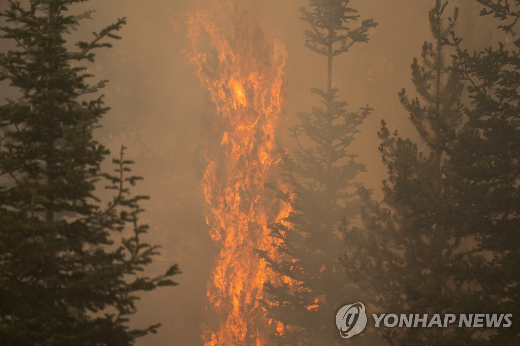 미 서부 산불, 날씨까지 바꿨다…동부 뉴욕까지 연기 뒤덮여(종합)