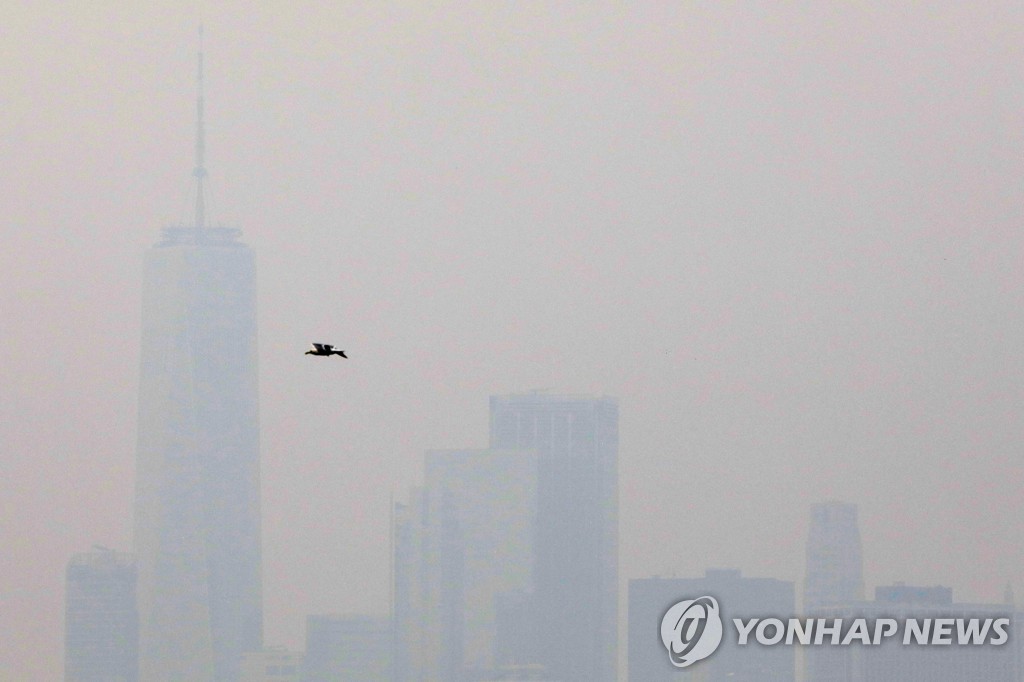 미 서부 산불, 날씨까지 바꿨다…동부 뉴욕까지 연기 뒤덮여(종합)