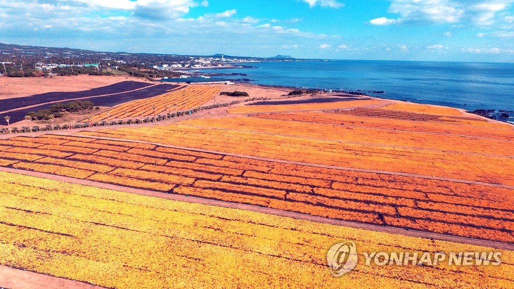 이경용 제주도의원, 귤피산업 육성·지원 조례 추진