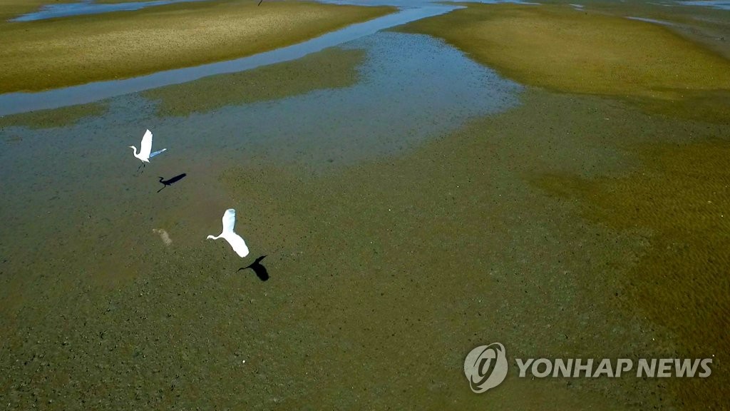 세계유산위원회 모레 개막…'한국의 갯벌' 등재는 오리무중