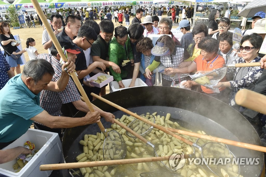 '원주 옥수수·토토미 축제' 온라인·드라이브스루 진행