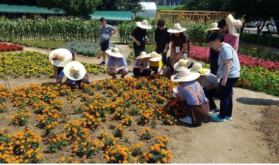 제주도농업기술원, 농진청 공모 치유농업사 양성기관 선정