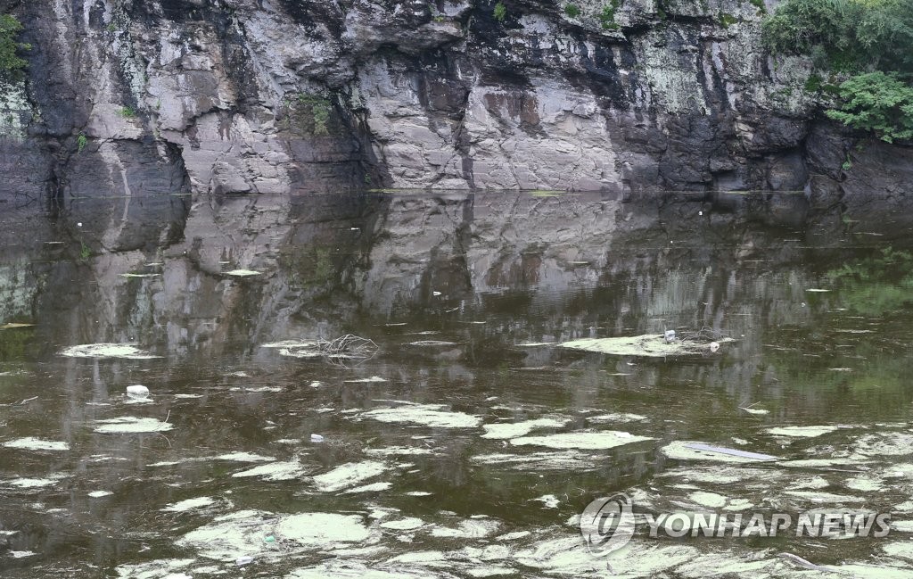 '반구대암각화 정밀 안전 관리'…울산시, 용역 착수 보고회