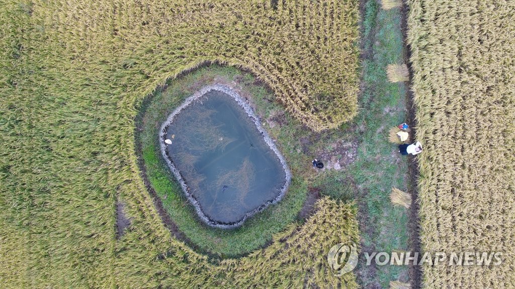 '둠벙에 어떤 생물이 살까'…무주군 둠벙 생물 특별전