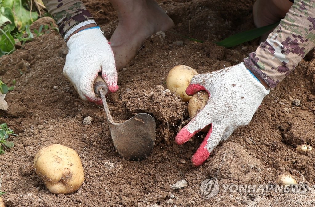 외국인 계절근로자 잇단 확진…강원 농가 일손 구하기 '비상'