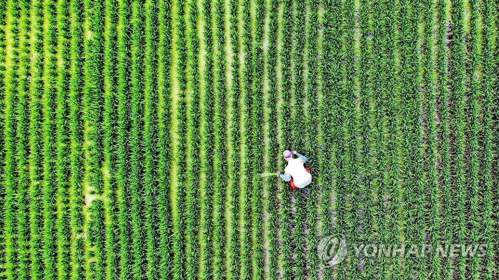 장맛비에 발 묶인 휴일…해수욕장 등 평소보다 한산