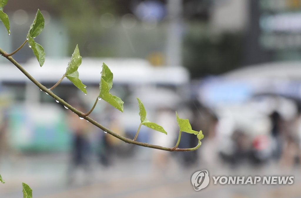 [내일날씨] 전국 흐리고 장맛비…서울 낮 최고 29도