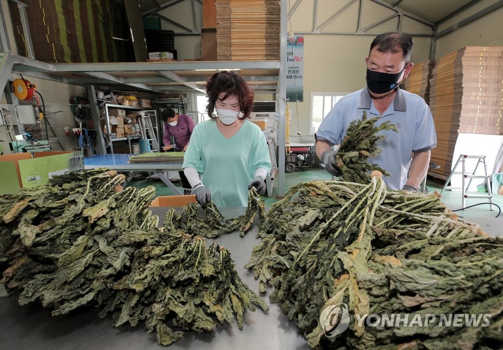 [양구소식] DMZ 펀치볼 지방정원 조성사업 착공