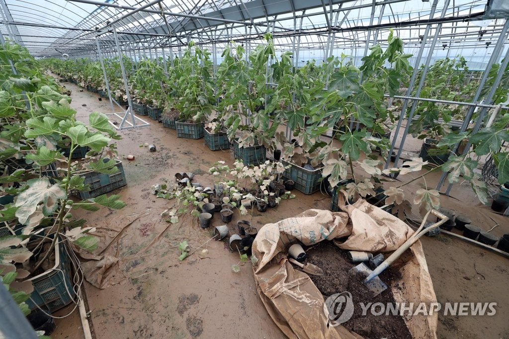 [르포] "그래도 살아야죠"…장맛비 잠긴 전남서 복구 구슬땀