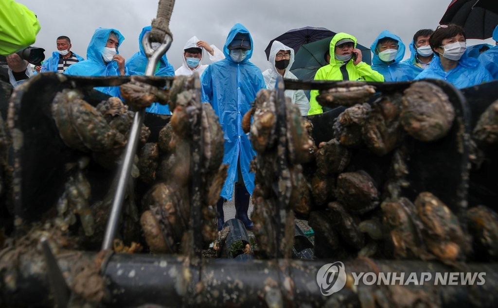 "어찌 이럴 수가"…기록적 폭우에 민물 덮친 해상 전복 양식장