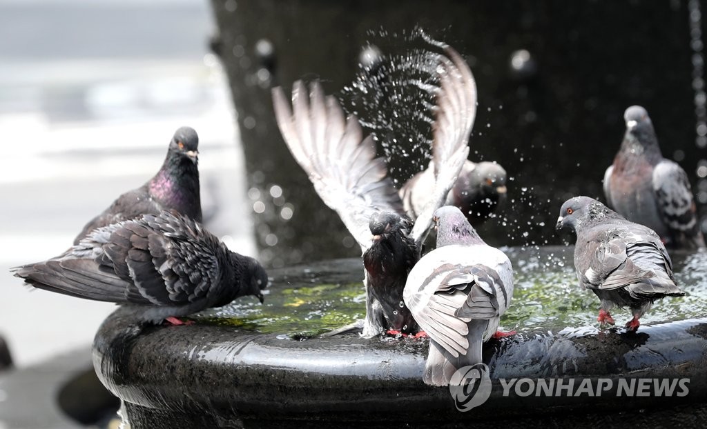 [내주날씨] 내륙 최고기온 33도 이상 '무더위'…가끔 소나기