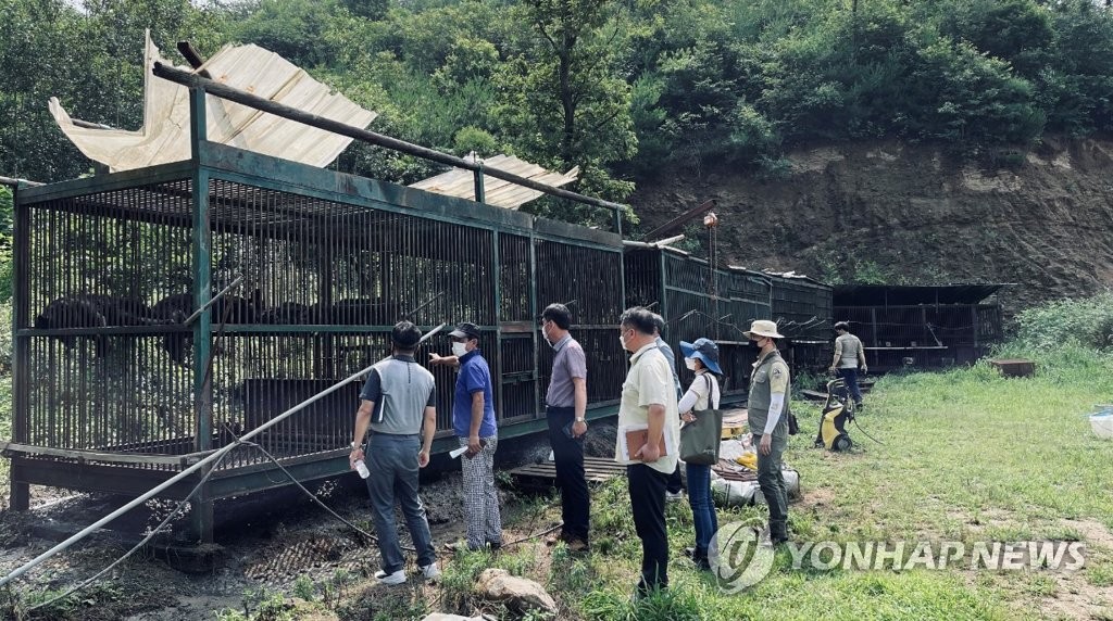 "사육장 탈출 곰은 두 마리 아닌 한 마리"…농장주, 진술 번복