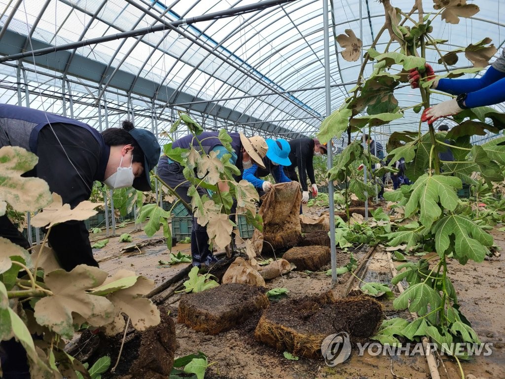 '주말 잊고 구슬땀' 전남지역 폭우피해 복구 힘 모아