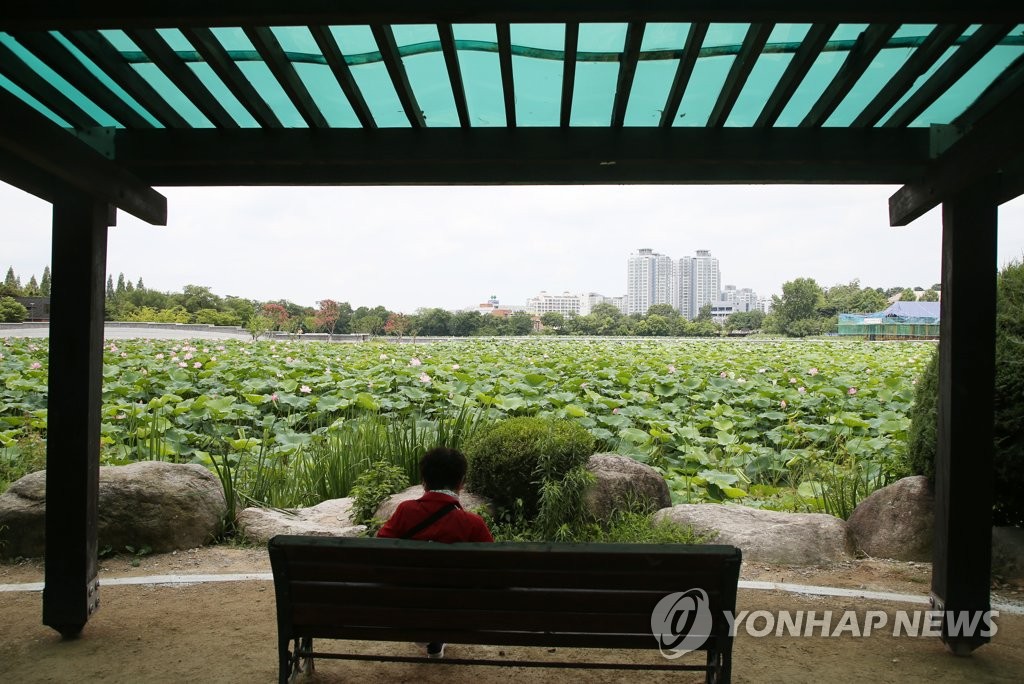 '올해 첫 폭염경보' 전주 시민들, 찜통더위에 햇볕 피해 그늘로