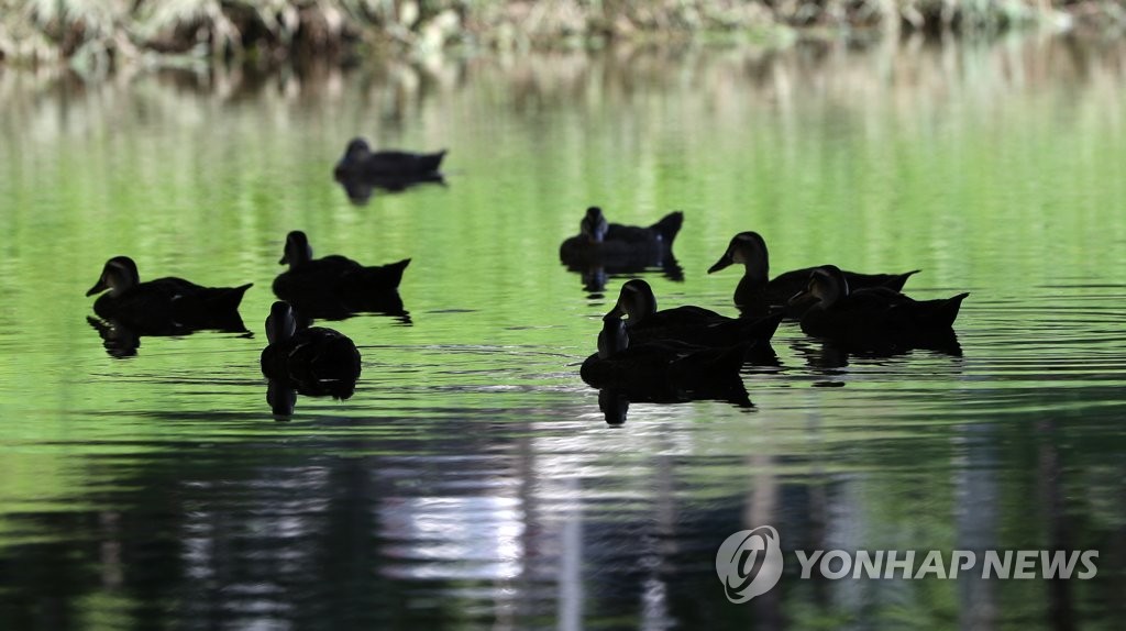 [날씨] 찜통더위 속 제헌절…서울 낮 최고 31도