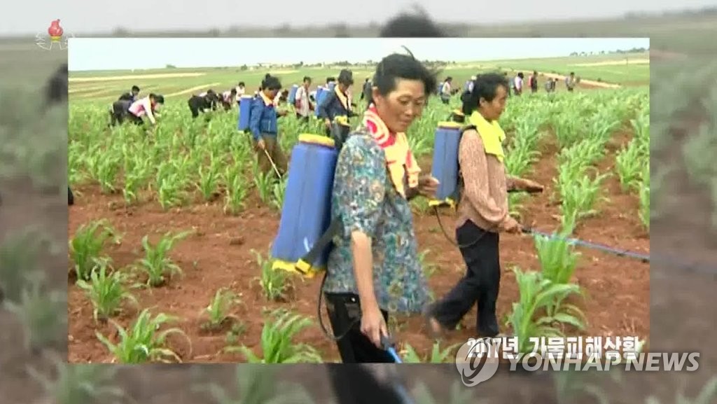 북한도 낮 최고 38도 치솟는 폭염…중복맞이 단고기 요리경연도