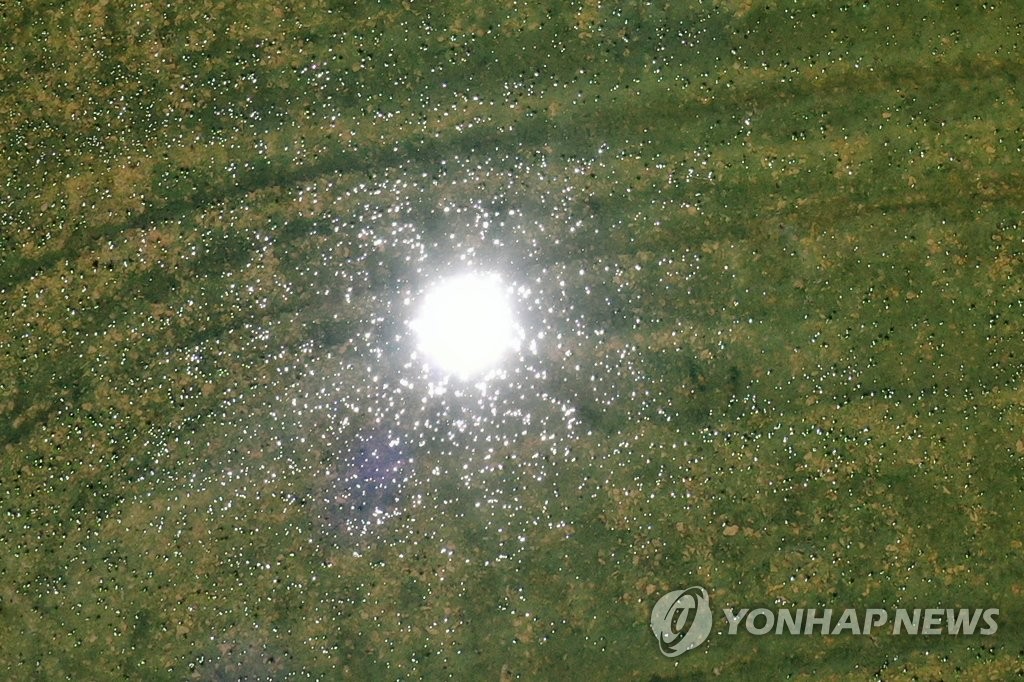 광주·전남 19일째 폭염 특보…온열질환자·가축 폐사 잇따라