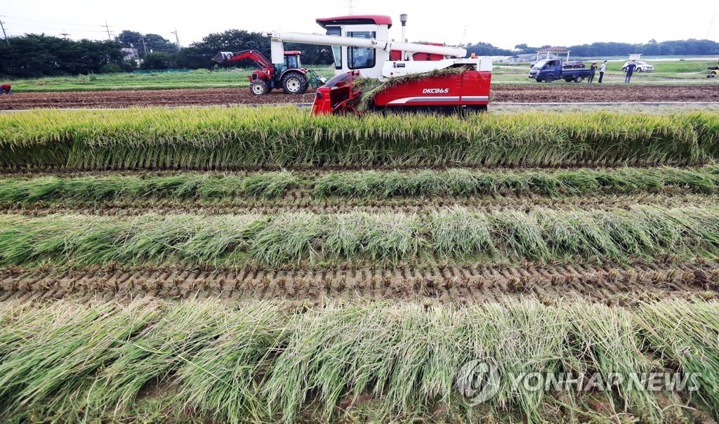 폭염 속 '가을걷이'…충남 예산서 이기작 빠르미 벼 수확